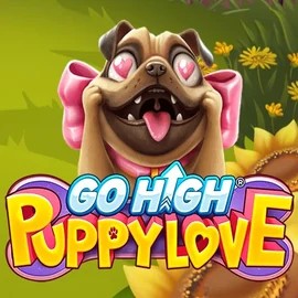 Play the Go High Puppy Love slot by RubyPlay on Beep Beep Casino